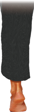 leg