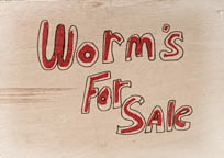 worms for sale